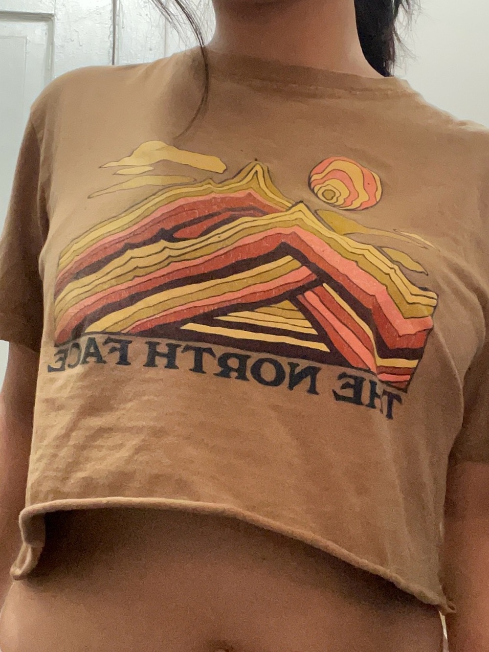 The North Face Brown Retro Mountain Art Print with Yellow & Orange Accents